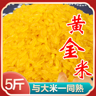 正宗东北黄金米粗粮，粘碴渣黏糯玉米做的黄金，米10斤非大米五谷特产