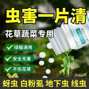 园艺防虫片糖化硼肥片，驱虫除蚜虫蓟马白粉，虱子盆栽果花卉植物防烂