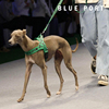 Blueport狗狗牵引绳遛狗绳子胸背带中小型犬宠物用品马鞍式狗链子
