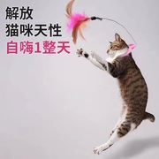 逗猫棒猫玩具自嗨猫咪解闷神器，幼猫耐咬带铃铛羽毛项圈逗猫的用品