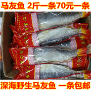 马友鱼干 淡口咸鱼干 广东特产 2斤一条 一件 海味海鲜干