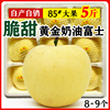 奶油富士苹果脆甜山东烟台栖霞黄金红富士新鲜苹果水果5斤
