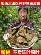 三皮罐茶叶湖北特产野生海棠红茶大碗茶一匹罐一皮罐大叶茶三匹罐