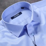 雅戈尔DP纯棉免烫商务正装工装天蓝色夏款男长袖衬衫GLDP10171IJA