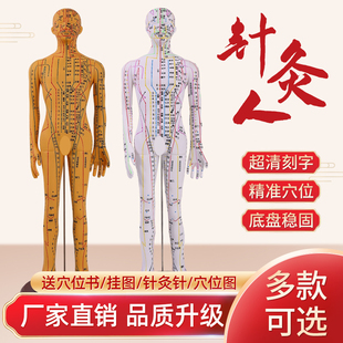 针灸穴位人体模型全身家用中医十二经络图小皮，人硅胶扎针练习铜人