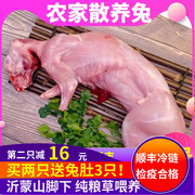 新鲜兔肉大号现杀冷冻生兔肉生鲜食用烧烤食材一只装