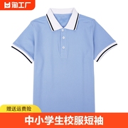 中小学生校服短袖浅蓝色儿童polo衫，夏季纯棉翻领，t恤班服套装定制