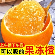 正宗现摘青见果冻橙10斤四川水果新鲜当季整箱斤手剥柑橘甜橙大果