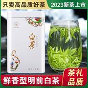 白茶安吉特级2023年新茶礼盒装，珍稀口粮绿茶250g雨前散装正宗茶叶