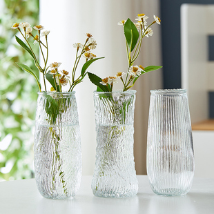 浮雕玻璃花瓶大号，透明水养富贵竹ins高颜值客厅，装饰家用插花摆件