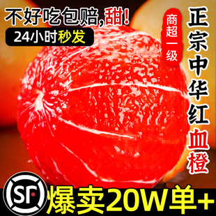 血橙新鲜水果秭归中华红橙子10斤当季整箱大果南赣脐红心甜果冻橙