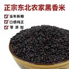 东北新黑米 杂粮新米紫米大米糙米农家自种低脂粗粮粥香米5斤