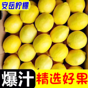安岳黄柠檬10斤四川当季新鲜水果皮薄香水鲜甜柠檬青