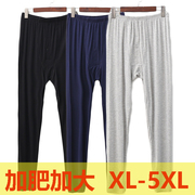 秋裤男莫代尔加肥加大码，单件薄款打底线，裤修身保暖衬裤高腰200斤