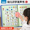 儿童识字大王3000字启蒙幼儿园早教发声书有声挂图认字卡片点读机