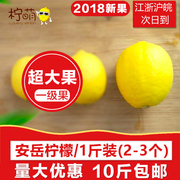 安岳柠檬 四川黄柠檬新鲜柠檬一级果超大果500g10斤尤力克