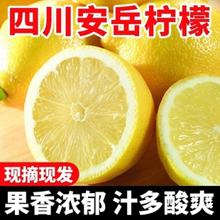 产地直发新鲜黄柠檬5斤装单果80克以上当季新鲜水果柠檬