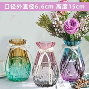 花瓶玻璃透明水养客厅摆件鲜花，插花瓶北欧简约富贵竹干花花瓶欧式