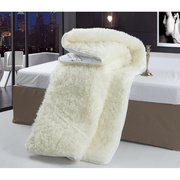 进口澳洲纯羊毛床垫床褥子防潮双人冬季加厚保暖学生宿舍单人软垫