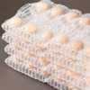 厂促厂促鸡蛋气柱袋10枚土，鸡蛋快递充气袋包装防震防摔气柱打包品