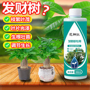 发财树营养液肥料专用肥治烂根黄掉叶室内盆栽，花卉绿植物花肥通用