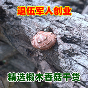 干香菇椴木香菇干货农家特产食用菌冬菇250g香茹野外生长蘑菇香菌