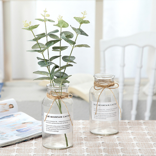 创意玻璃花瓶透明摆件假花尤加利水培植物绿萝花瓶小摆件客厅简约