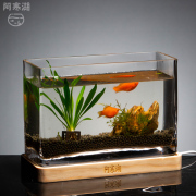 玻璃鱼缸客厅小型长方形迷你水族箱家用金鱼缸造景桌面创意斗鱼缸