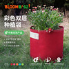 bloombagz美式加仑种植袋，盆栽花卉绿植兰花，多肉专用创意特大花盆