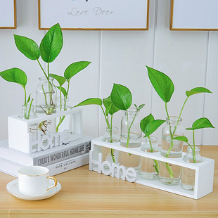 水培小花瓶创意玻璃，绿萝透明小清新水养植物，桌面装饰摆件客厅插花