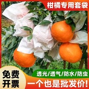 柑橘套袋专用袋耙耙柑水果，套袋石榴桔子，橙子橘子防虫防鸟保护果袋