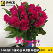 北京鲜花直发唯1玫瑰鲜花，枚红色大花朵家居花瓶插花生日礼物