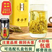 2023新茶正宗黄金茶安吉雨前白茶，特级黄金芽茶叶散装绿茶250g罐装