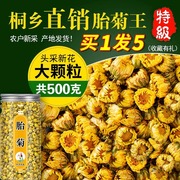 胎菊500g菊花茶桐乡胎菊王特级正宗杭白菊贡菊新茶包花茶散装