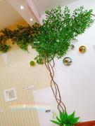假树叶藤条仿真树藤造景花藤绿植墙面藤蔓树枝大型室内装饰植物树