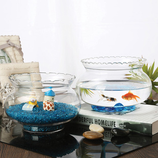 创意水培土栽绿萝多肉，花器透明圆形乌龟小金，鱼缸花边玻璃花瓶花盆