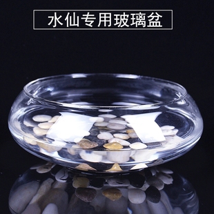 水仙花盆圆形透明水培玻璃花瓶铜钱草碗莲花盆鱼缸玻璃金鱼缸