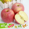 烟台苹果水果新鲜山东栖霞当季脆甜带整箱，9斤红富士10