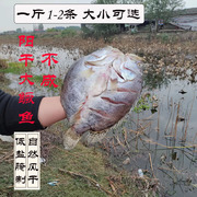 湖里桂花鱼湖南农家特产阳干鳜鱼半风干生态桂花鱼阳干鳜鱼糍粑干