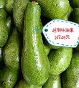 越南牛油果进口热带水果特产健康营养外国美味果汁奶昔2斤