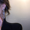 925银针欧美时尚夸张满钻耳环巴洛克风镶钻长款耳坠网红闪钻耳饰