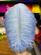 天蓝色45-50cm 南非进口天然羽毛 服装辅料直播羽毛饰品摆件