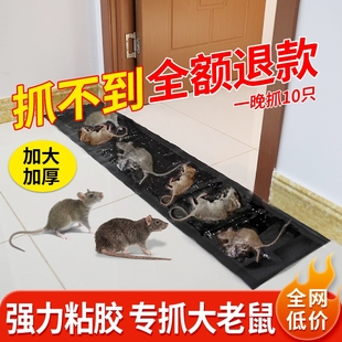 老鼠贴强力粘鼠板大老鼠扑捉器驱捕鼠神器老鼠夹笼家用一窝端超强
