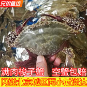 8两只北京闪送梭子蟹鲜活海蟹，大白蟹飞蟹满肉公螃蟹海鲜水产