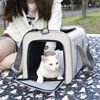 猫包外出便携透气大容量车载手提单，肩斜跨帆布，折叠猫咪狗包宠物包