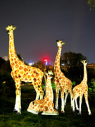 户外园林景观仿真长颈鹿，装饰大型摆件，发光动物玻璃钢雕塑小区草坪