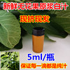 新鲜无花果白汁原浆乳液无花果茎枝叶汁液现挤现发5ml