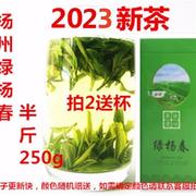 绿杨春 2023新茶 仪征捺山绿阳春 扬州特产绿扬春茶叶250g