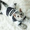 猫咪衣服秋冬装四脚保暖小猫猫英短美短波斯猫，宠物幼猫防掉毛冬天