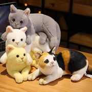 跨境仿真猫咪公仔抱枕，可爱三花猫咪玩偶，家居摆件儿童玩偶